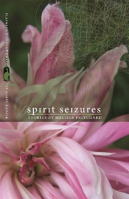 Spirit Seizures: Stories - Melissa Pritchard