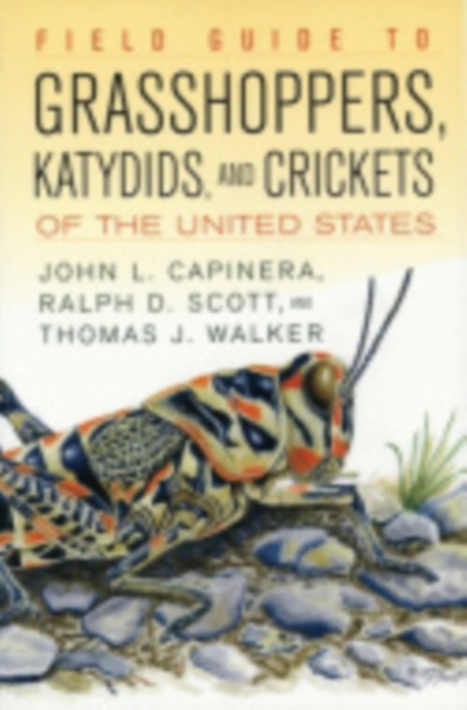 Field Guide to Grasshoppers, Katydids, and Crickets of the United States - John L. Capinera