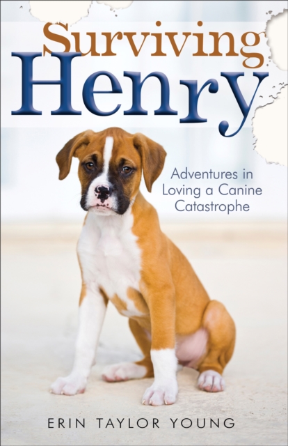 Surviving Henry: Adventures in Loving a Canine Catastrophe - Erin Taylor Young