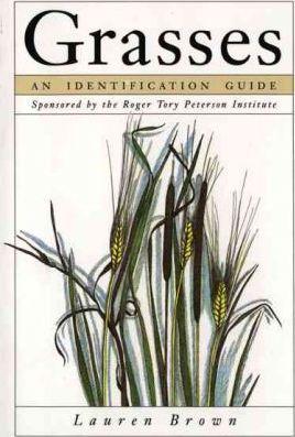 Grasses: An Identification Guide - Lauren Brown