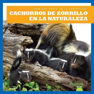 Cachorros de Zorrillo En La Naturaleza (Skunk Kits in the Wild) - Katie Chanez