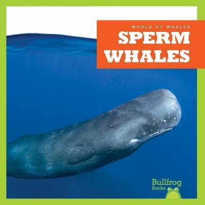 Sperm Whales - Katie Chanez
