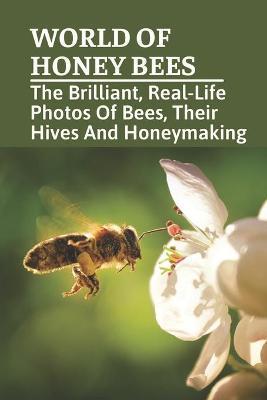 World Of Honey Bees: The Brilliant, Real-Life Photos Of Bees, Their Hives And Honeymaking: Bee Facts For Kids - Domenic Munsinger