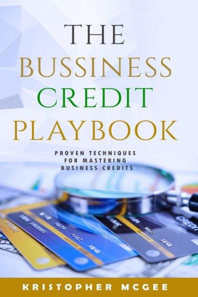 The Business Credit Playbook: Proven Techniques For Mastering Business Credit - Kristopher Mcgee