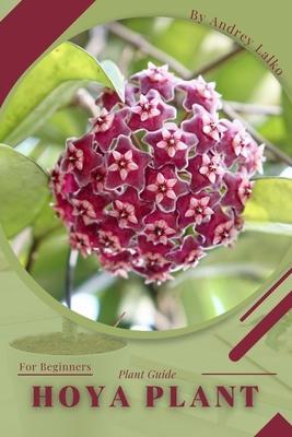 Hoya plant: Plant Guide - Andrey Lalko