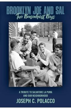 Coperta cărții 'Brooklyn Joe and Sal - Joseph C. Polacco'