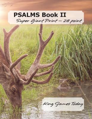 PSALMS Book II Super Giant Print - 28 point: King James Today - Paula Nafziger