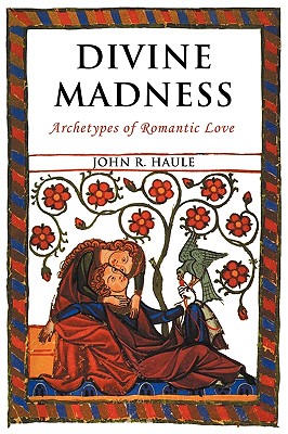 Divine Madness: Archetypes of Romantic Love - John R. Haule
