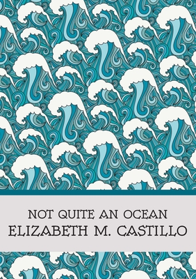 Not Quite an Ocean - Elizabeth M. Castillo