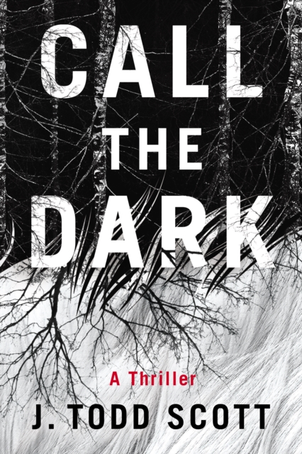 Call the Dark: A Thriller - J. Todd Scott