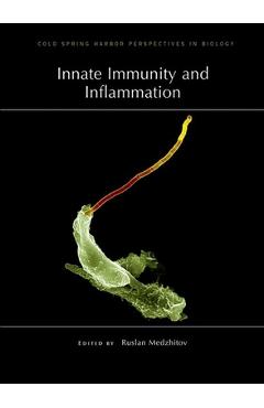Coperta cărții 'Innate Immunity and Inflammation - Ruslan Medzhitov'
