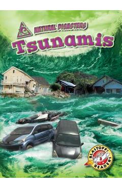 Poza produsului Tsunamis - Betsy Rathburn