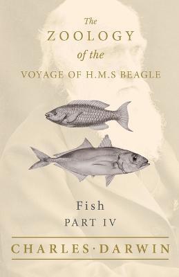 Fish - Part IV - The Zoology of the Voyage of H.M.S Beagle; Under the Command of Captain Fitzroy - During the Years 1832 to 1836 - Charles Darwin
