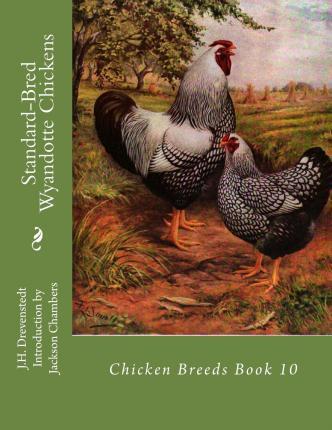 Standard-Bred Wyandotte Chickens: Chicken Breeds Book 10 - Jackson Chambers