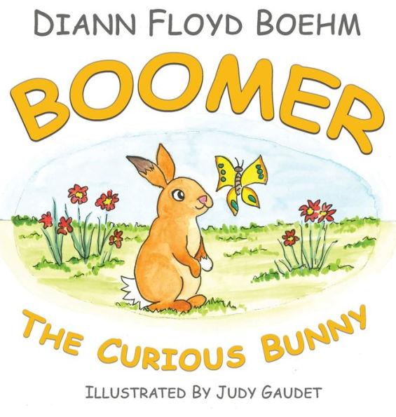 Boomer The Curious Bunny - Diann Floyd Boehm