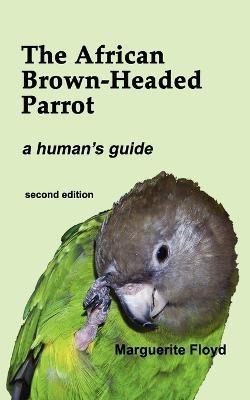 The African Brown-Headed Parrot - Marguerite Floyd