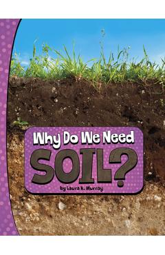 Why Do We Need Soil?