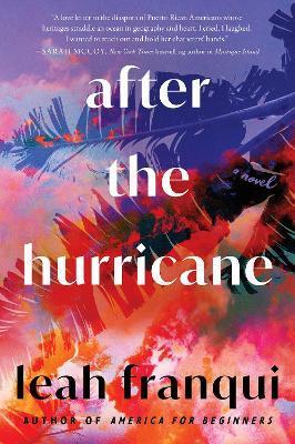 After the Hurricane - Leah Franqui