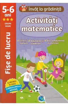 Poza produsului Activitati matematice 5-6 ani. Fise de lucru. Invat la gradinita - Luminita Albu