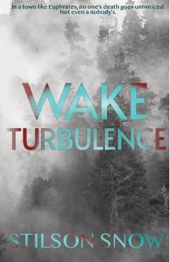 Coperta cărții 'Wake Turbulence - Stilson Snow'