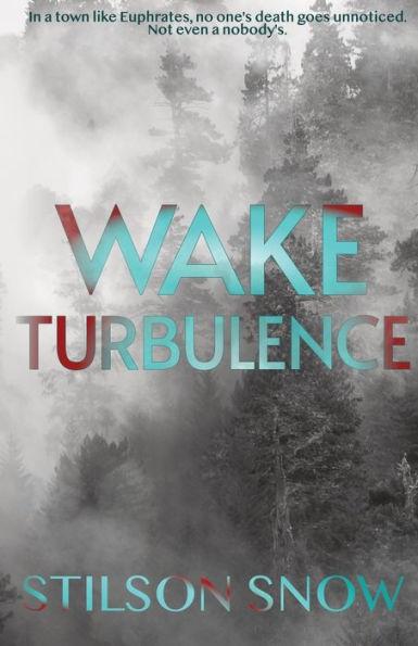 Coperta cărții 'Wake Turbulence - Stilson Snow'