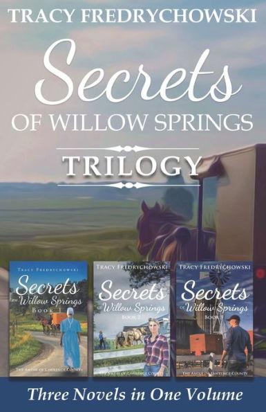 Secrets of Willow Springs Trilogy - Tracy Fredrychowski