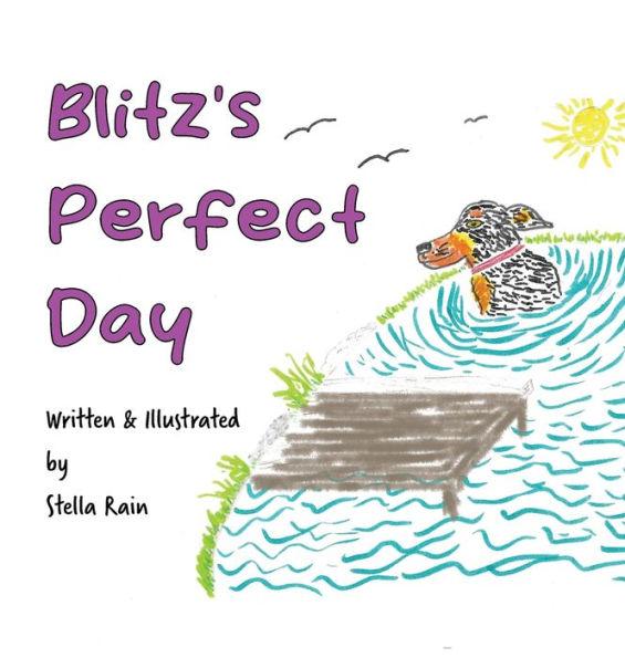 Blitz's Perfect Day - Stella Rain