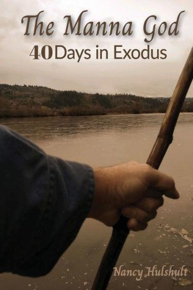 The Manna God: 40 Days in Exodus - Nancy Hulshult