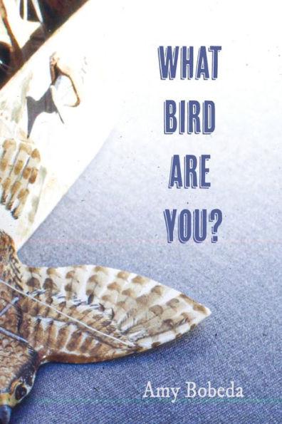 What Bird are You - Amy Bobeda