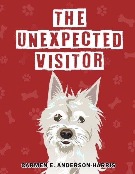 The Unexpected Visitor - Carmen E Anderson-harris