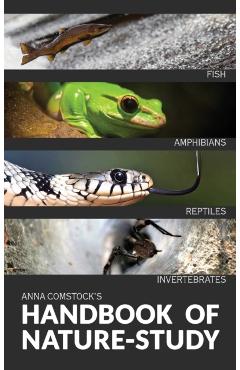 The Handbook Of Nature Study in Color - Fish, Reptiles, Amphibians, Invertebrates - Anna Comtock