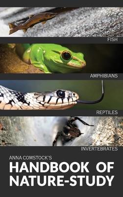 The Handbook Of Nature Study in Color - Fish, Reptiles, Amphibians, Invertebrates - Anna Comtock