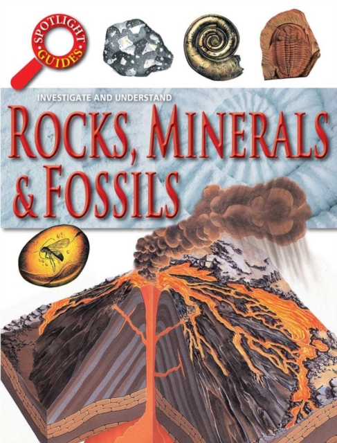 Rocks, Minerals & Fossils - Neil Curtis