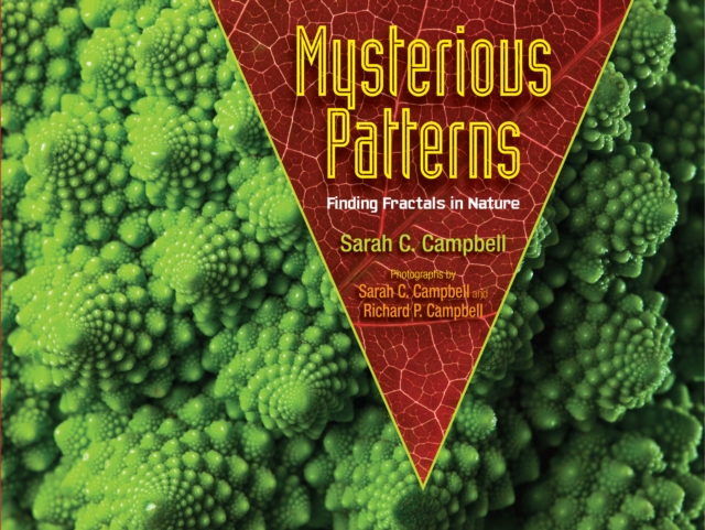 Mysterious Patterns: Finding Fractals in Nature - Sarah C. Campbell