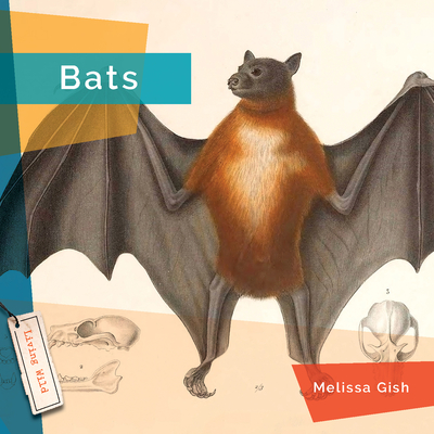 Bats - Melissa Gish