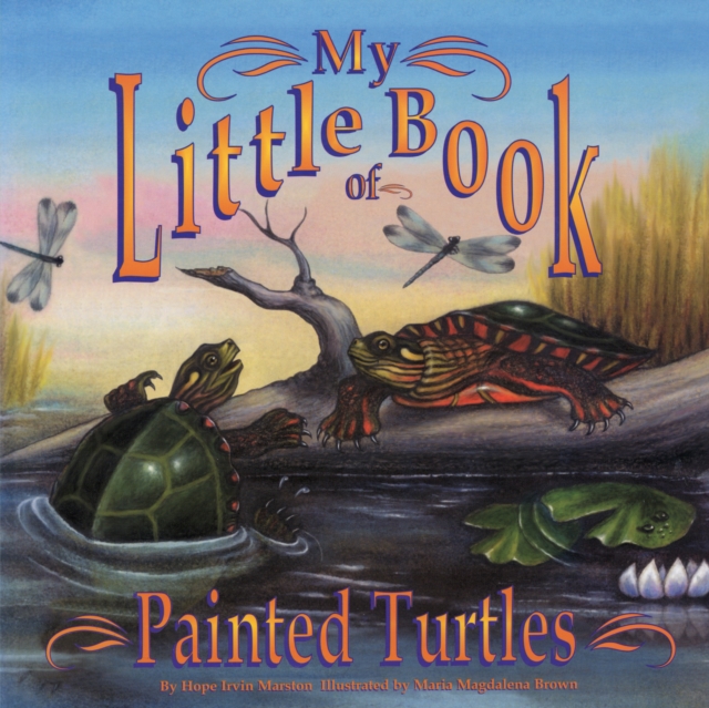My Little Book of Painted Turtles (My Little Book Of...) - Hope Irvin Marston