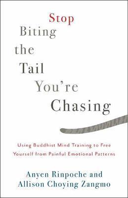 Stop Biting the Tail You're Chasing: Using Buddhist Mind Training to Free Yourself from Painful Emotional Patterns - Anyen Rinpoche