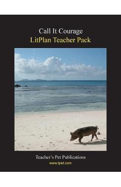 Coperta cărții 'Litplan Teacher Pack: Call It Courage - Barbara M. Linde'