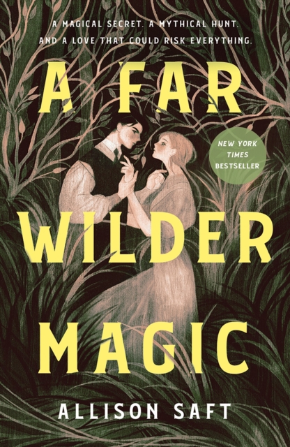 A Far Wilder Magic - Allison Saft