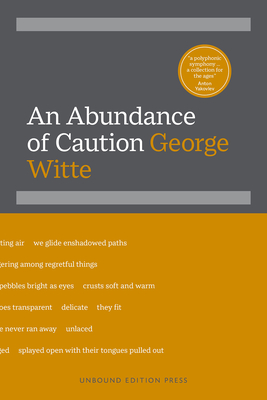 An Abundance of Caution - George Witte