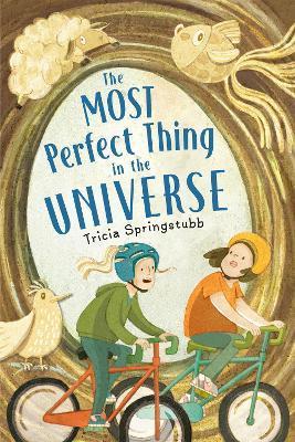 The Most Perfect Thing in the Universe - Tricia Springstubb