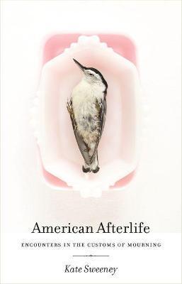 American Afterlife: Encounters in the Customs of Mourning - Kate Sweeney