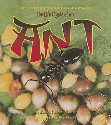 Coperta cărții 'The Life Cycle of an Ant - Hadley Dyer'