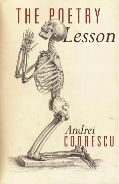 Poza produsului The Poetry Lesson - Andrei Codrescu