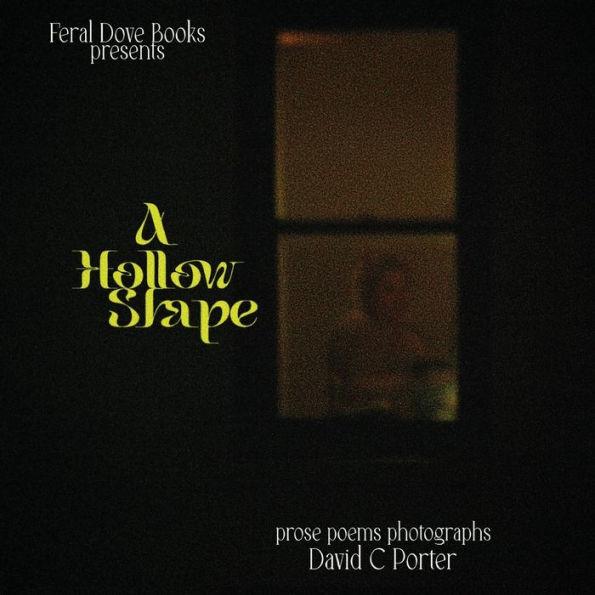 A Hollow Shape: prose, poems, photographs - David C. Porter
