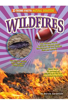 Coperta cărții 'Wildfires - Marcia Abramson'