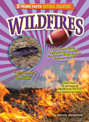 Coperta cărții 'Wildfires - Marcia Abramson'