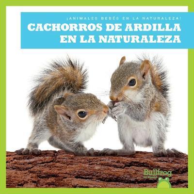 Cachorros de Ardilla En La Naturaleza (Squirrel Kits in the Wild) - Katie Chanez