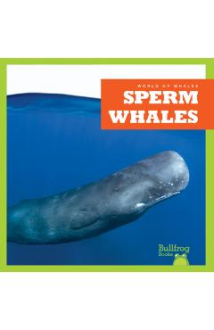 Poza produsului Sperm Whales - Katie Chanez