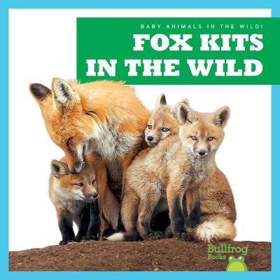 Fox Kits in the Wild - Katie Chanez